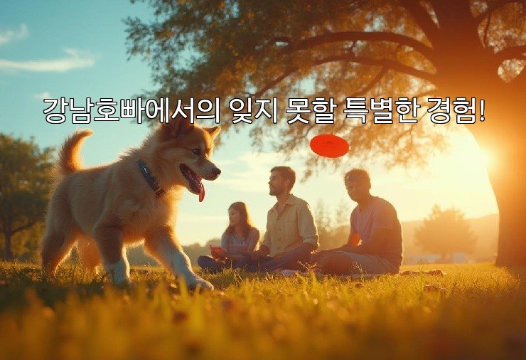 강남호빠에서의 잊지 못할 특별한 경험!